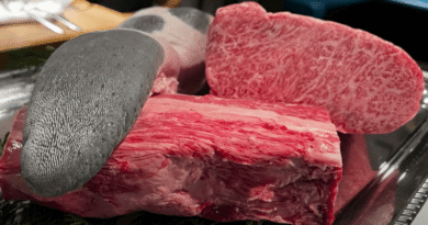 Wagyu Beef